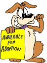 Available for Adoption!