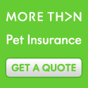 More Than Pet Insurance